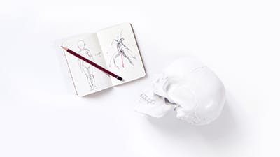 Анатомия для иллюстратора